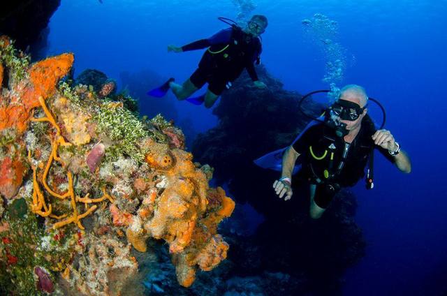 plongée sous marine en guadeloupe plongée sous marine en guadeloupe