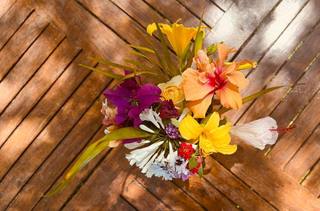 Fleurs tropicales de Guadeloupe : balisiers et alpinias
