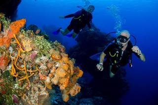 Plongée sous-marine en Guadeloupe, réserve Cousteau