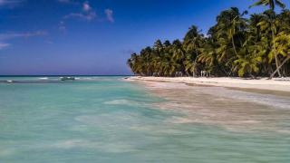 Quand partir en Guadeloupe : carême, hivernage et sargasses