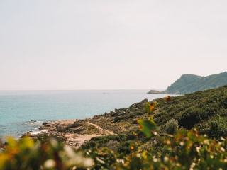 Sentier cotier surplombant la baie de Deshaies, au nord de Basse-Terre